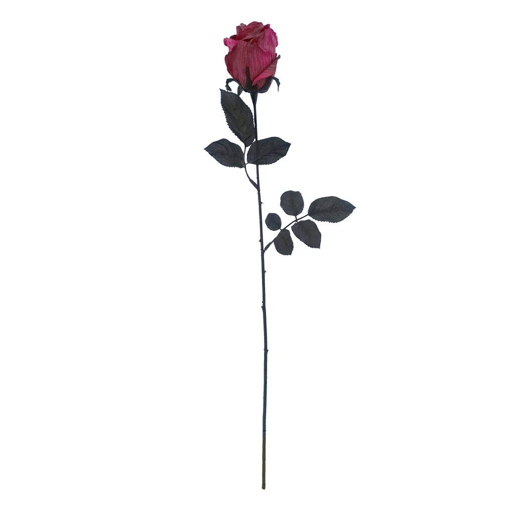 10666259_1.jpg img